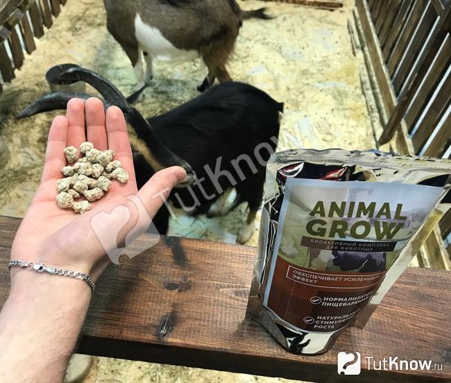 Как использовать биодобавку Animal Grow