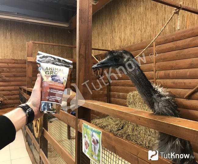 Добавка в корм животным Animal Grow