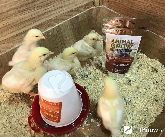 Отзыв Марии и Михаила про Animal Grow