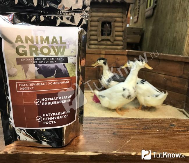 Отзыв Светланы про Animal Grow