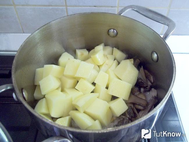 Картофель нарезан кусочками и отправлен в кастрюлю к грибам жариться