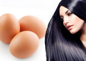 Лучшие рецепты яичных масок для волос