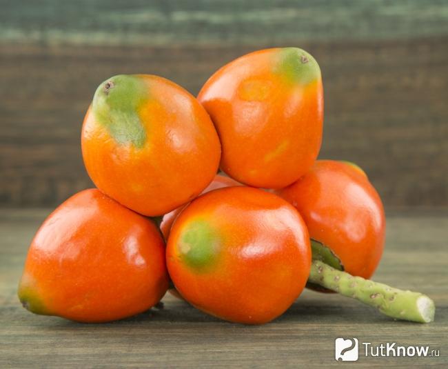 Как выглядят плоды персиковой пальмы