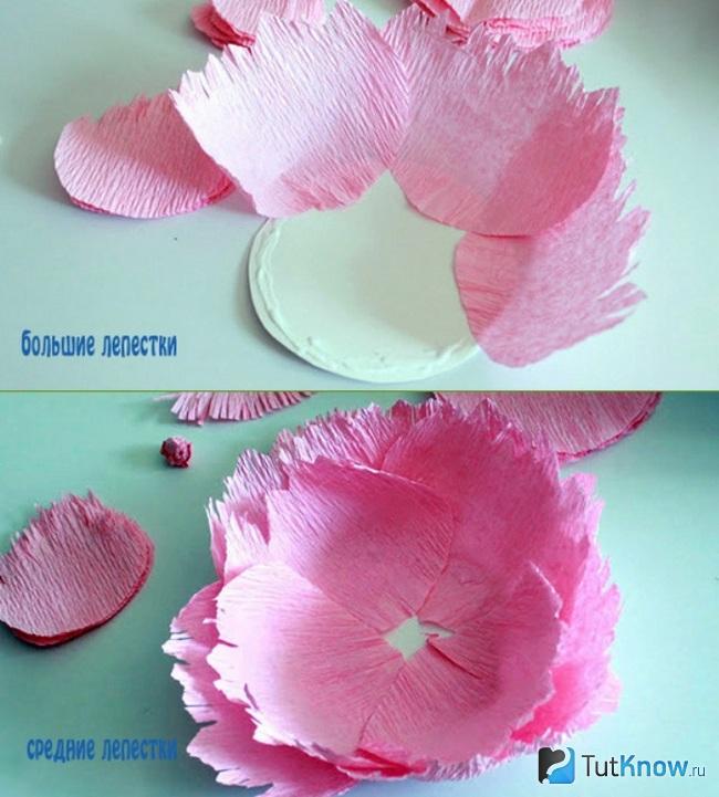 Как Сделать Цветов Из Гофрированной Бумаги