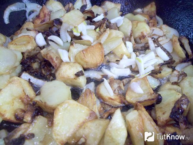 Жареная картошка с луком и салом на сковороде приправлена чесноком и солью