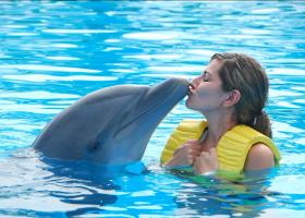 Дельфинотерапия для детей и взрослых
