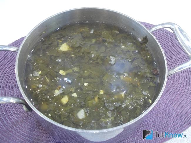 Готовый зеленый борщ с яйцами и щавелем