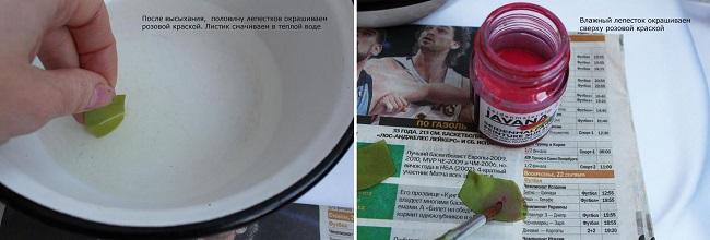 Лепесток для бутоньерки вымачивается в воде
