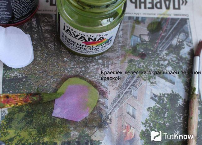 Край розового лепестка покрывается зелёной краской
