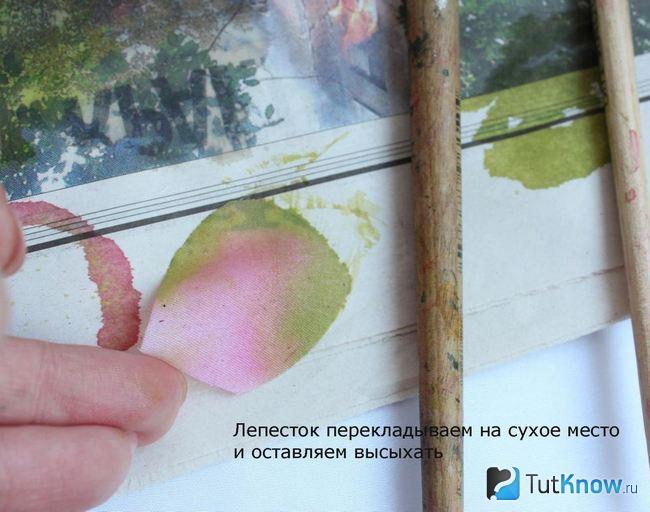 Выкрашенный лепесток сохнет на бумаге