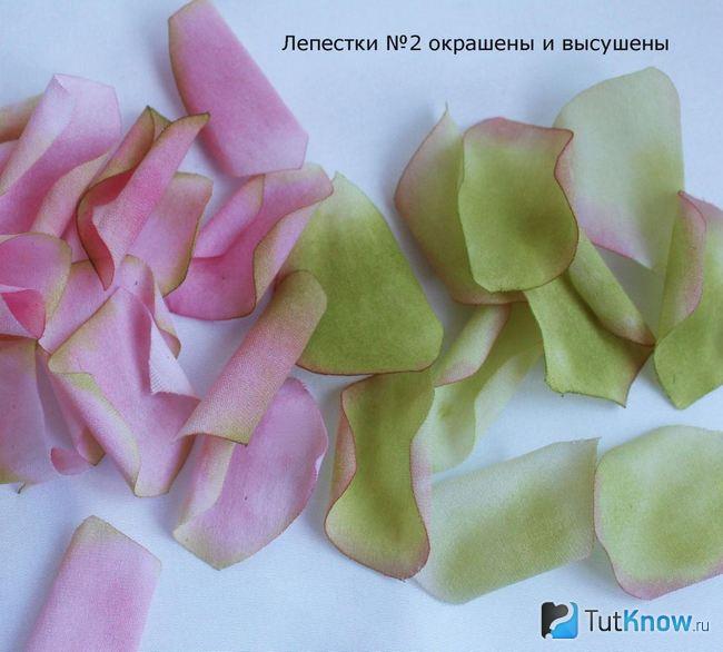 Розовые и зеленые лепестки готовы