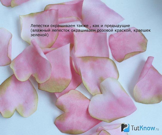 Вторая партия лепестков покрашена