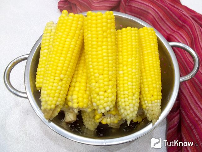 Ведро с варёной кукурузой. Вареная кукуруза бачок. Кукуруза для варки степень созревания. Как варить замороженную кукурузу в початках.
