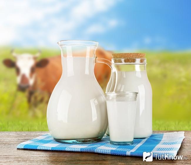 Домашнее молоко свойства и противопоказания thumbnail