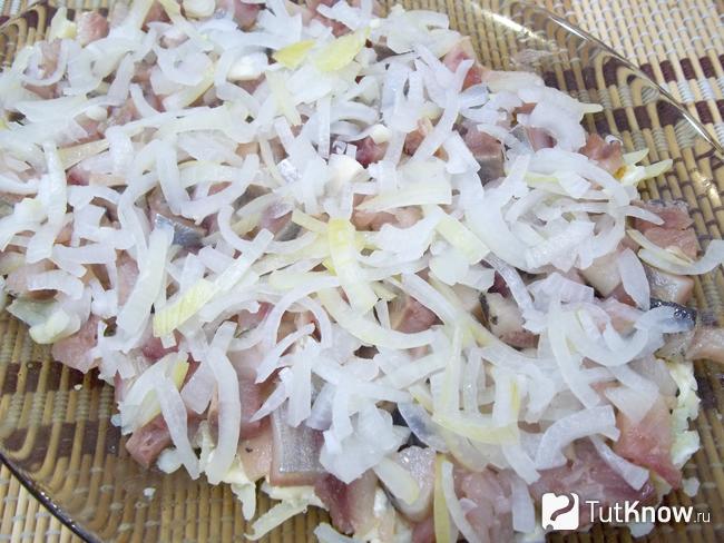 На селедку выложен репчатый лук нашинкован полукольцами