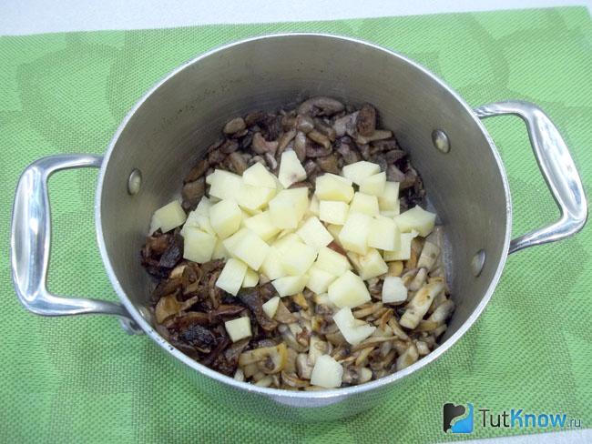 Грибы и картофель сложены в кастрюлю