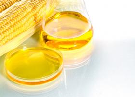 Кукурузная патока: польза и вред натурального заменителя меда