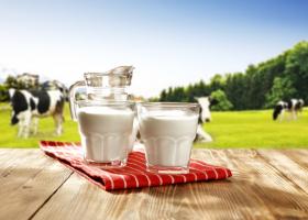 Молоко коровье: польза, вред, рецепты блюд и напитков