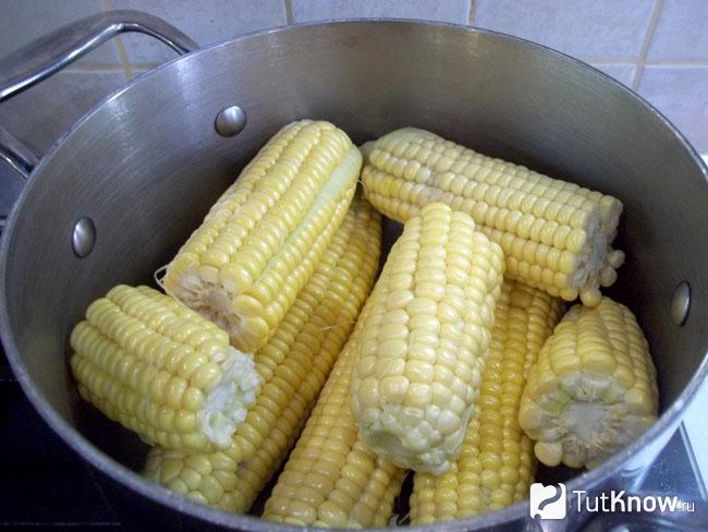 Кукуруза в початках на зиму. Маринованная кукуруза в початках в коробочках. Кукуруза маринованная в початках в ведре.