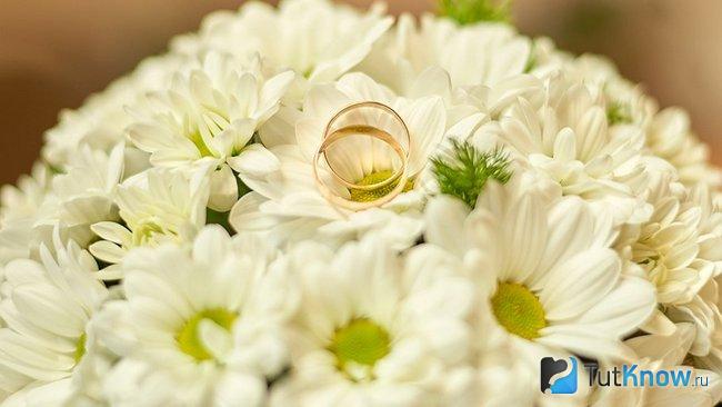 9 лет свадьбы как называется что дарить дочери. Смотреть фото 9 лет свадьбы как называется что дарить дочери. Смотреть картинку 9 лет свадьбы как называется что дарить дочери. Картинка про 9 лет свадьбы как называется что дарить дочери. Фото 9 лет свадьбы как называется что дарить дочери
