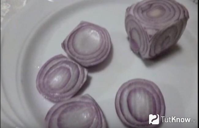 Луковица с отрезанными боками