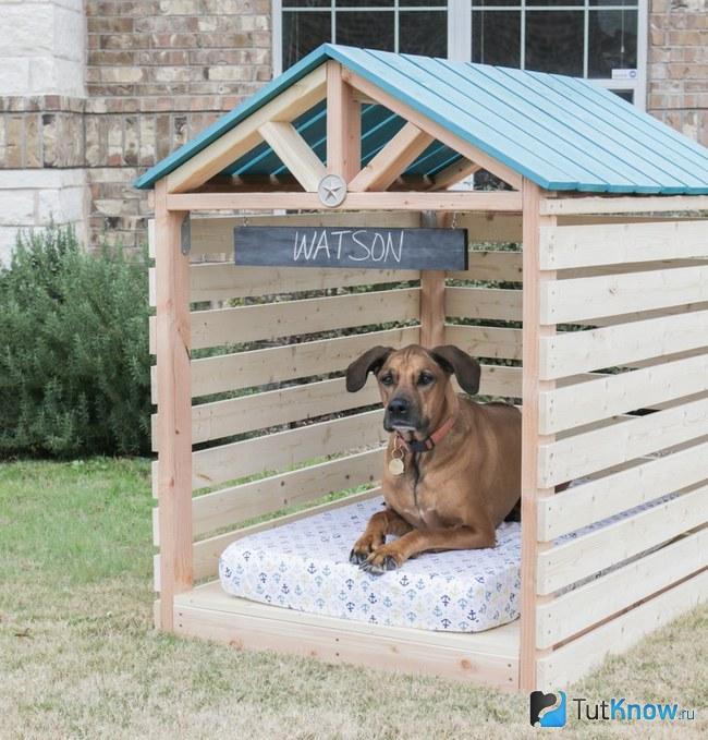 Как построить будку для собаки своими руками пошагово с фото простую