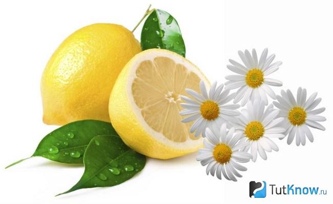 Лимон и ромашки на белом фоне