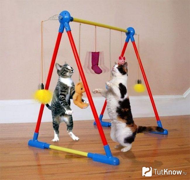 Несколько подвесных игрушек для котов