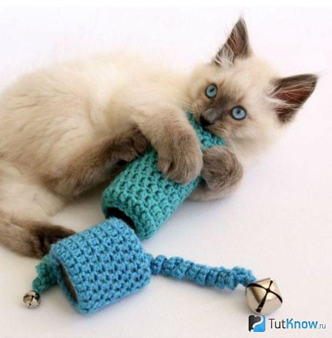 Кот кусает игрушку, сделанную из винных пробок и ткани