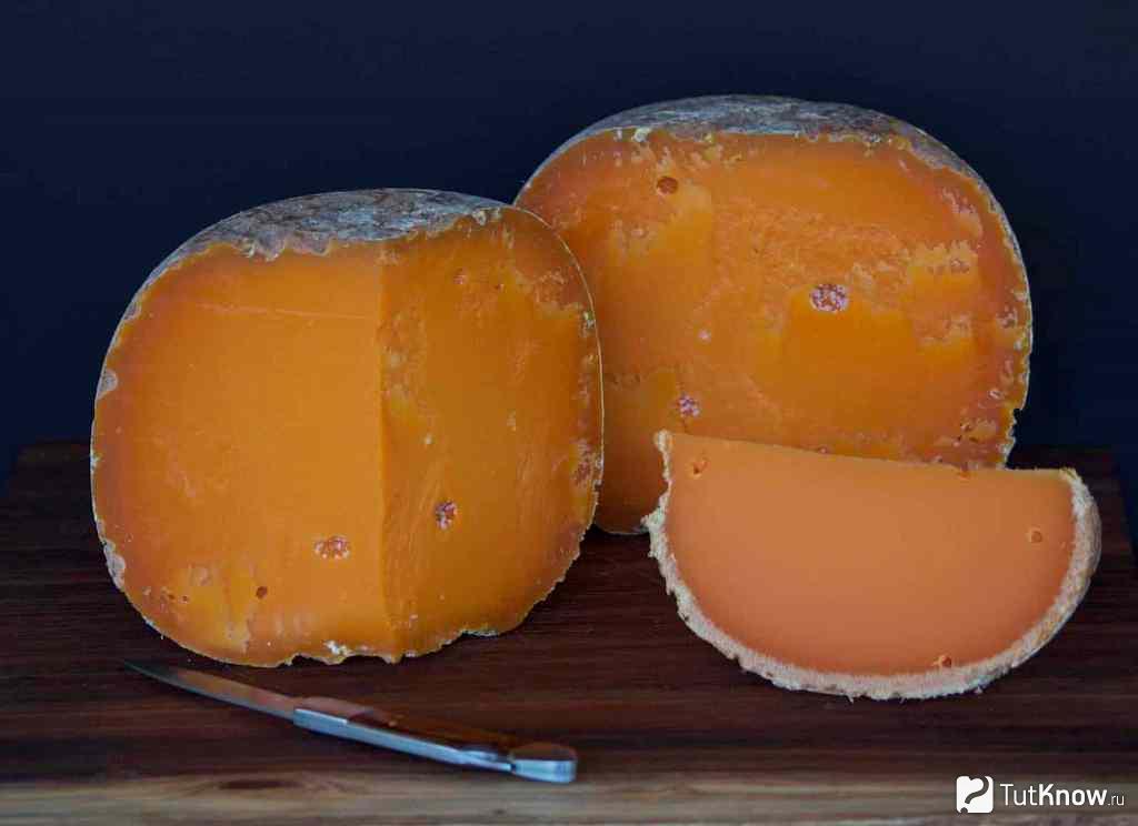 Сыр С Клещами Фото