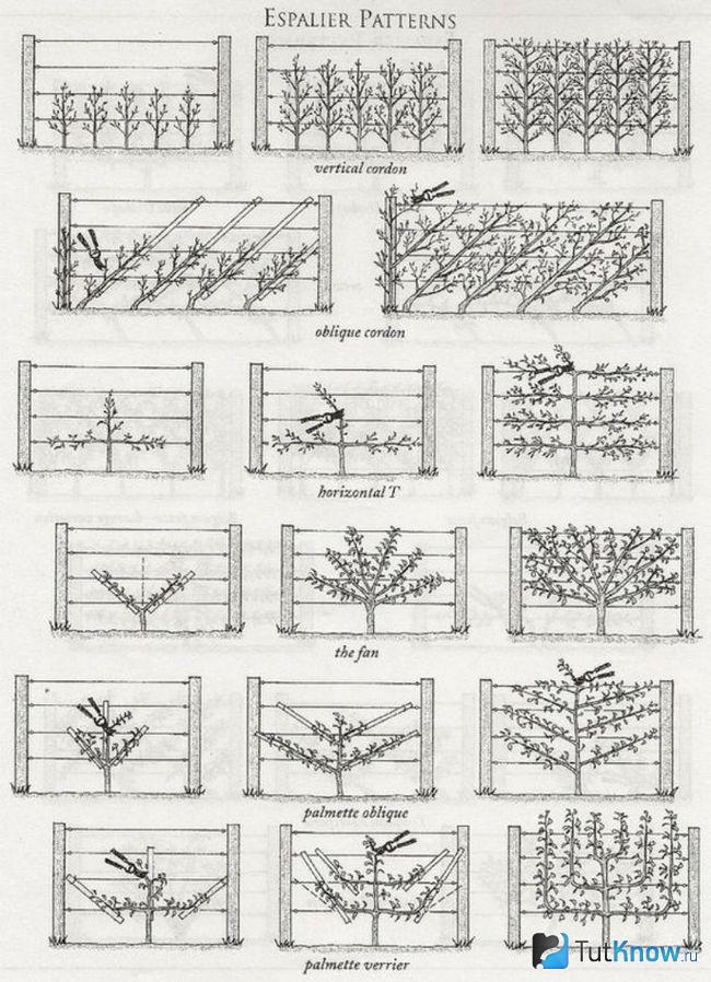 Схемы для создания вертикальных опор для растений