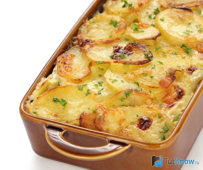 Гратен по-французски с сыром Сен-Нектер