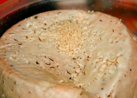 Сыр Касу Марцу с живыми личинками: как едят и готовят?