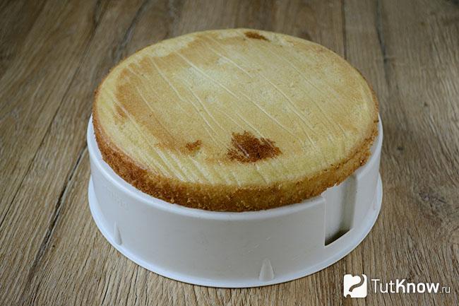 Коржи для лимонного торта