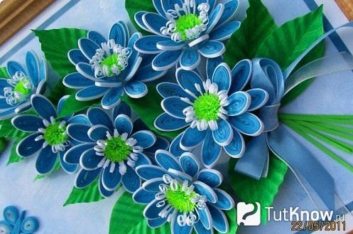 Красивые синие цветы