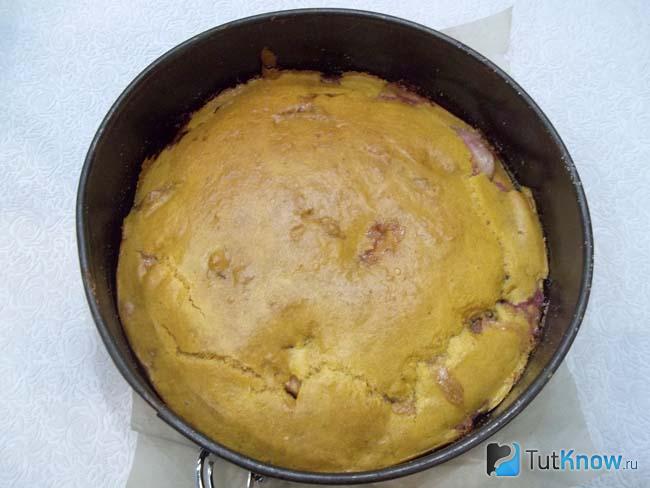 Готовый бисквитный пирог с персиками