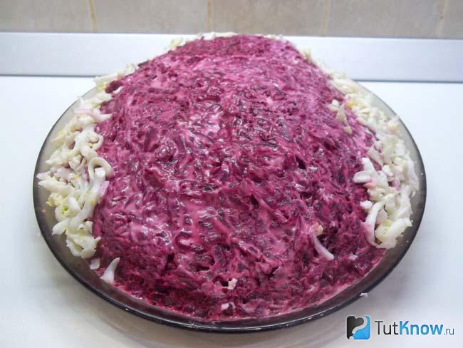 Свекла смазана майонезом и выложен белок