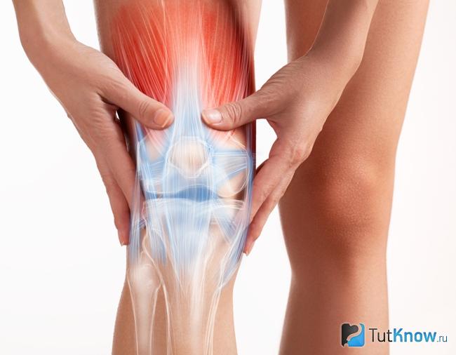 Укрепление костей при употреблении сыра Турош