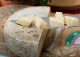 Сыр Бра: польза, вред, рецепты блюд