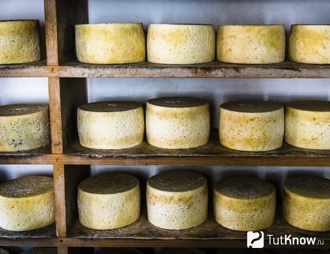 Сыр Кабралес на дозревании
