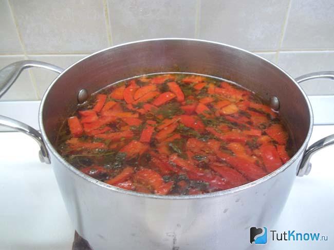 Готовый крестьянский куриный суп