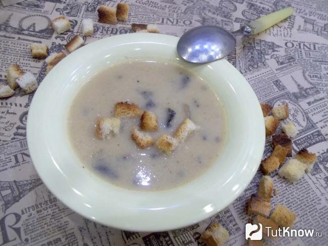 Готовый сливочно-грибной суп-пюре с кабачками и сметаной