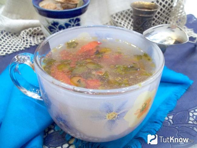 Готовый крестьянский куриный суп