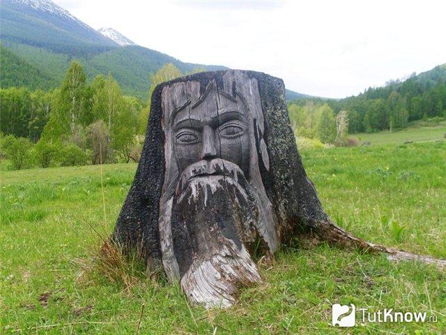 Чем покрыть пень на улице. Смотреть фото Чем покрыть пень на улице. Смотреть картинку Чем покрыть пень на улице. Картинка про Чем покрыть пень на улице. Фото Чем покрыть пень на улице