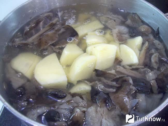 суп с замороженными шампиньонами и картофелем и плавленным сыром. 1549035951 9. суп с замороженными шампиньонами и картофелем и плавленным сыром фото. суп с замороженными шампиньонами и картофелем и плавленным сыром-1549035951 9. картинка суп с замороженными шампиньонами и картофелем и плавленным сыром. картинка 1549035951 9. Добавить в грибной суп картофель. Примерно через 10-15 минут от начала варки грибов очистить картофель, нарезать небольшими кусочками и высыпать в суп. Увеличить огонь, перемешать, довести до кипения, убавить огонь и прикрыть неплотно крышкой.