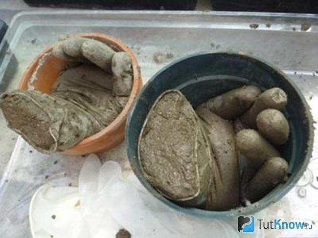 Подставка для цветов из садовых перчаток