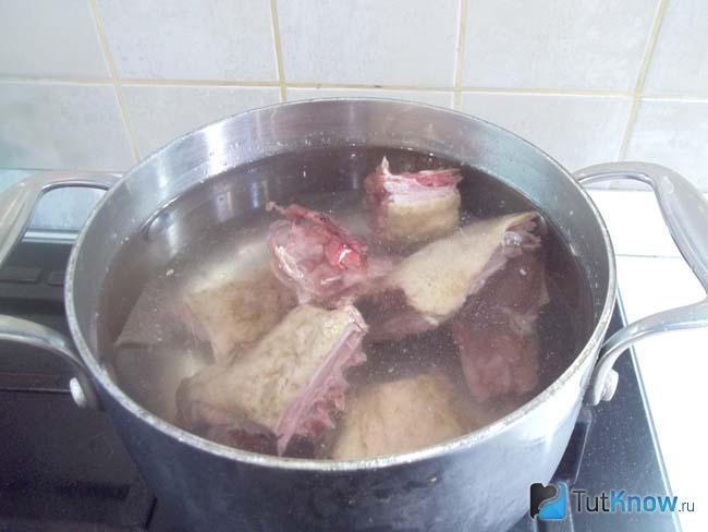 Утка залита водой