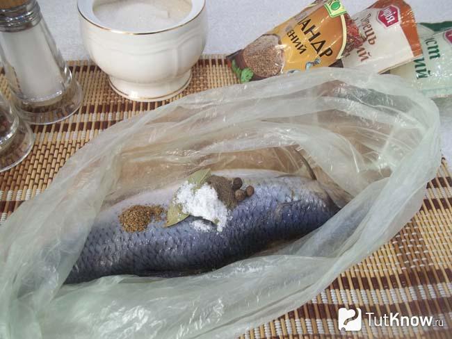 как посолить селедку в домашних условиях вкусно и быстро без рассола кусочками без рассола. Смотреть фото как посолить селедку в домашних условиях вкусно и быстро без рассола кусочками без рассола. Смотреть картинку как посолить селедку в домашних условиях вкусно и быстро без рассола кусочками без рассола. Картинка про как посолить селедку в домашних условиях вкусно и быстро без рассола кусочками без рассола. Фото как посолить селедку в домашних условиях вкусно и быстро без рассола кусочками без рассола