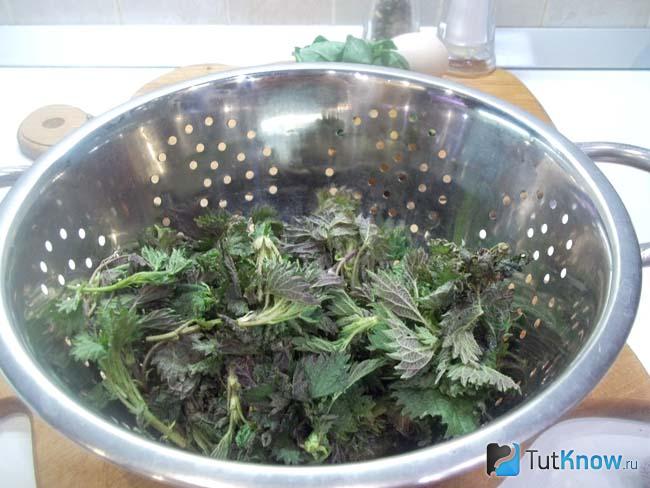 суп с крапивой и щавелем и яйцом на курином бульоне. 1555527530 7. суп с крапивой и щавелем и яйцом на курином бульоне фото. суп с крапивой и щавелем и яйцом на курином бульоне-1555527530 7. картинка суп с крапивой и щавелем и яйцом на курином бульоне. картинка 1555527530 7. Весна, тепло, хочется легкой и здоровой пищи, да побольше овощей и зелени. Под это веяние попадает весенний куриный суп с крапивой и щавелем. Это витаминный зеленый суп на курином бульоне. Многие готовят щавелевый суп, а кто-то варит крапивный. Я предлагаю объединить эти два весенних блюда и сварить один очень вкусный суп с крапивой, щавелем, да еще с яйцом. Это весенний суп полный витамина С. К тому же готовить его будем на курином бульоне. Дополнительный плюс этого блюда еще в том, что все продукты сразу закладываются в кастрюлю, т.е. предварительно ничего не надо обжаривать, пассировать и пр. Крапиву для блюда следует собирать именно весной и только верхние молодые листики. При ее сборе соблюдайте правила безопасности: не трогайте листики голыми руками, а перед ее нарезкой не забудьте ее ошпарить.