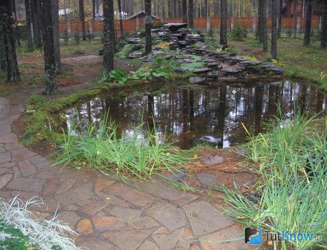 Пруд обложен камнем на даче